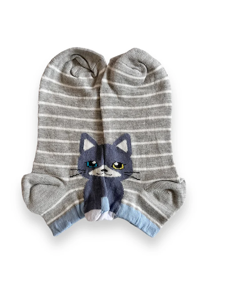 cat striped socks